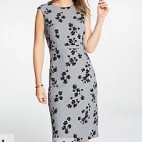 Ann Taylor Dresses & Skirts - Ann Taylor Floral Cap Sleeve Sheath Dress In Grey Multi